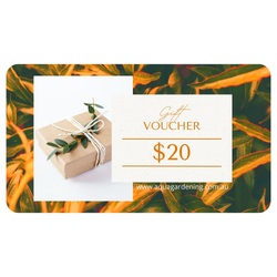 Gift Voucher for $20
