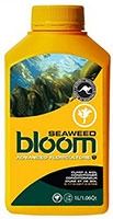 Bloom Seaweed