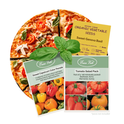 Pizza Veggies Seed Bundle - Tomatoes, Capsicum and Basil