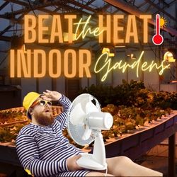 How to Beat the Heat in Your Indoor Garden
