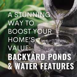 A Stunning Way to Boost Your Home’s Value: Backyard Ponds & Water Features