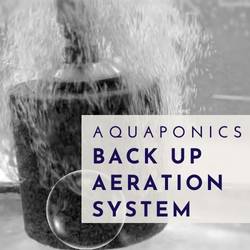 Aquaponics Backup Aeration System 12 Volt